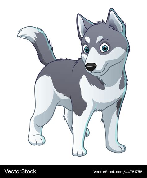 cartoon husky|cartoon husky drawing.